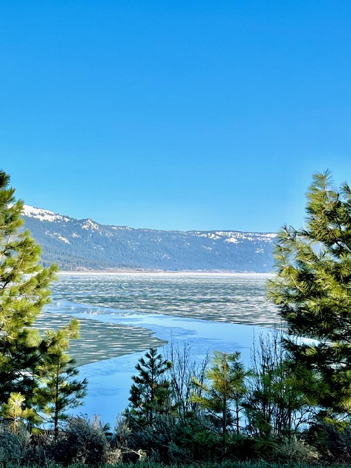 Reservoir with pine trees in foreground and mountains in background.