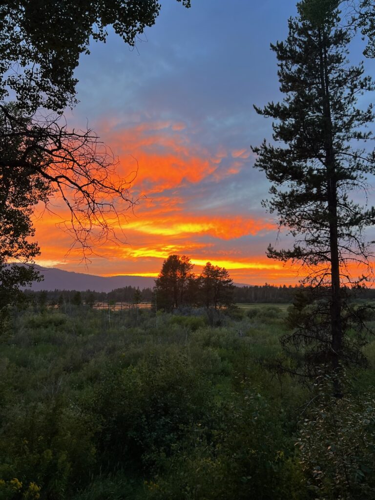 Orange sunset over field.