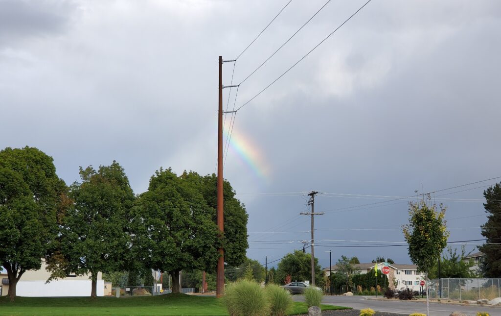 Small rainbow in gray sky over maple trees.