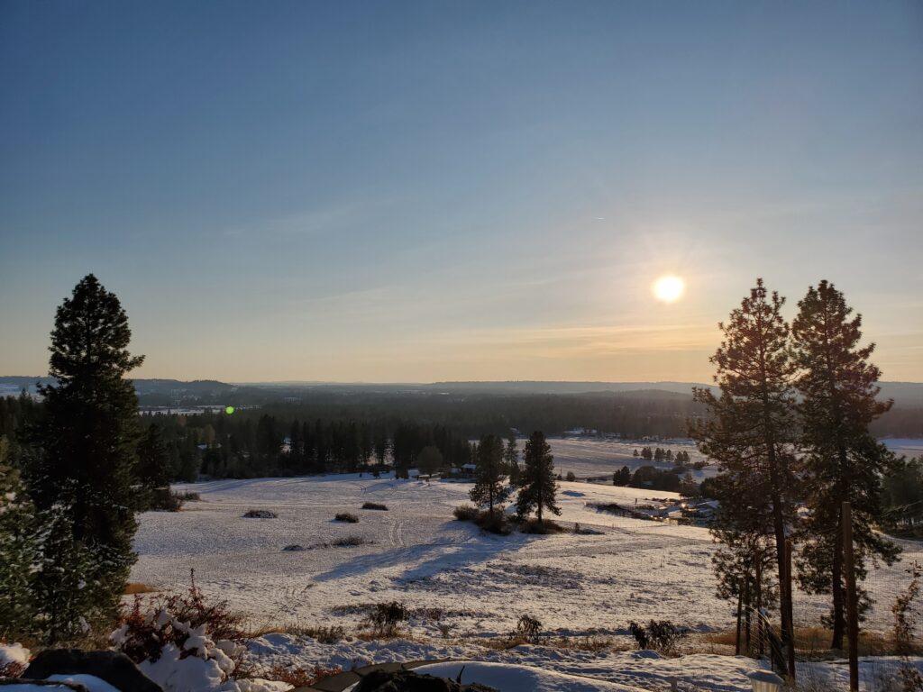 Sunset over bluff in winter with evergreen trees in foreground.